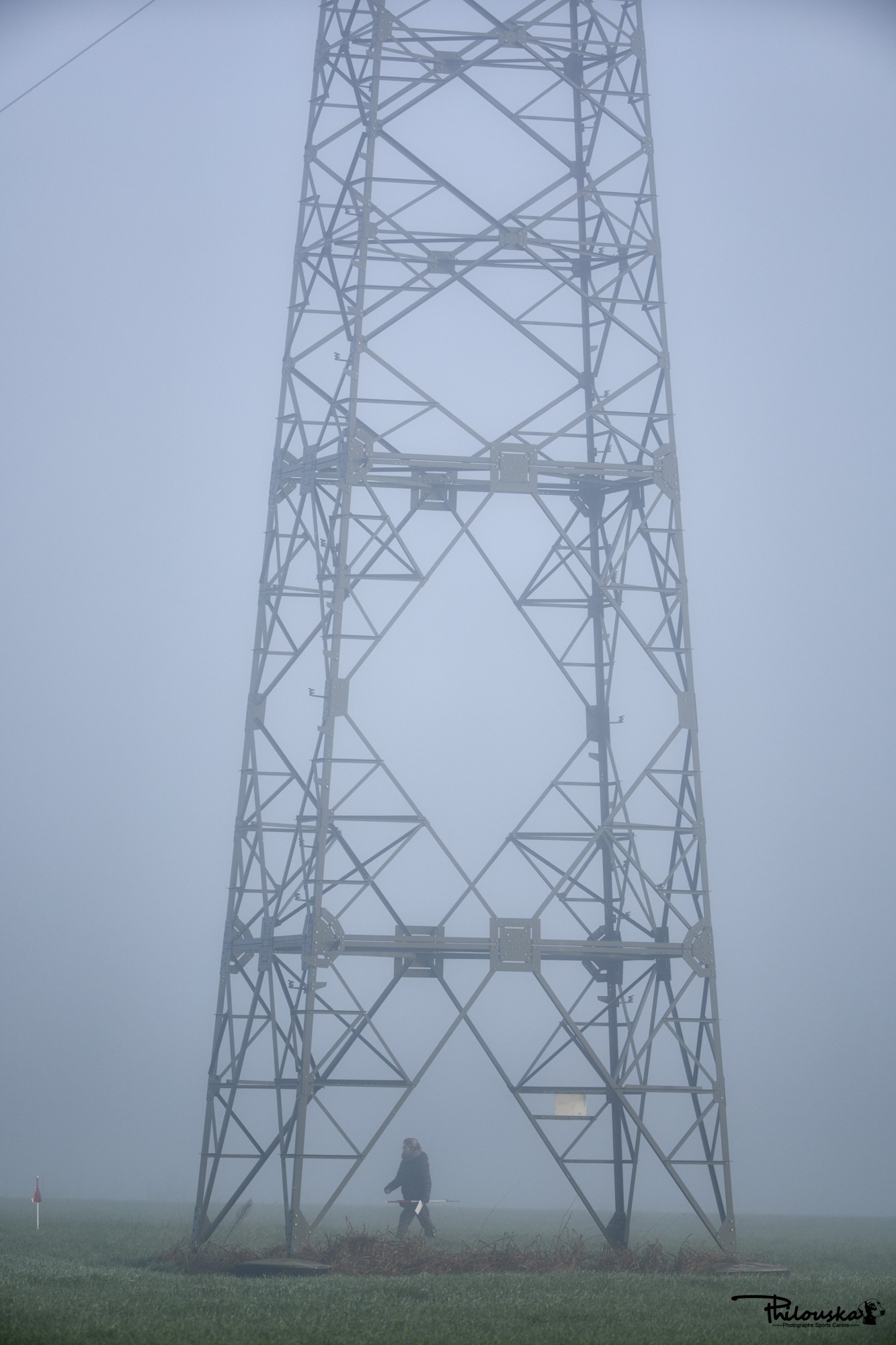 0062 fvr 17 2024 53541696868 o