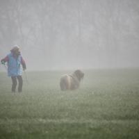 0102 fvr 17 2024 53540641602 o 1